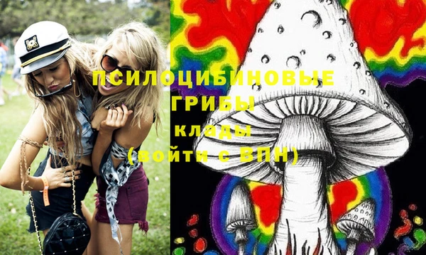 прущие крисы Абинск