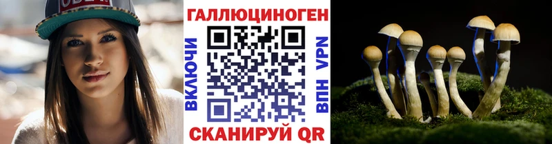 где купить наркоту  shop состав  Галлюциногенные грибы Cubensis  Сычёвка 